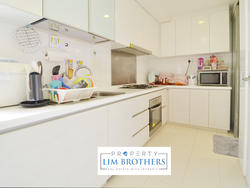 Oasis @ Elias (D18), Condominium #155608712